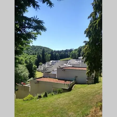 Apartment Au Coeur Des Volcans D Auvergne -