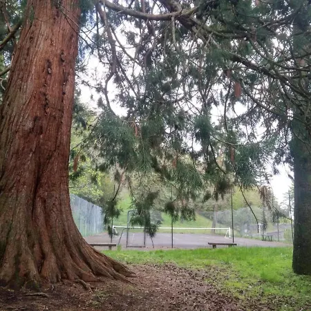 Appartement Au Coeur Des Volcans D Auvergne - Murol