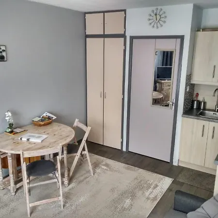 Au Coeur Des Volcans D Auvergne - *