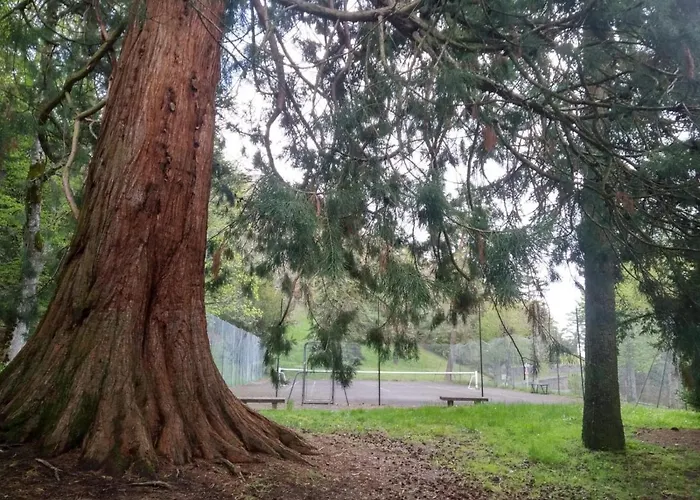 Apartment Au Coeur Des Volcans D Auvergne - Murol